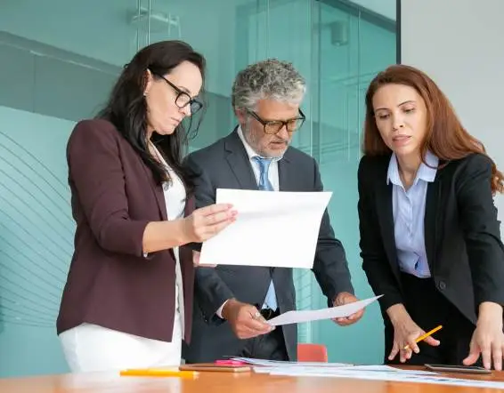 Audit Services
